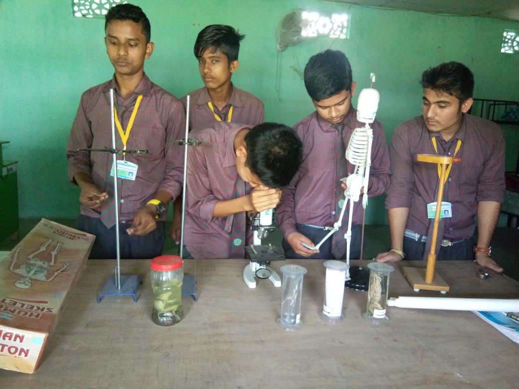 our mission image